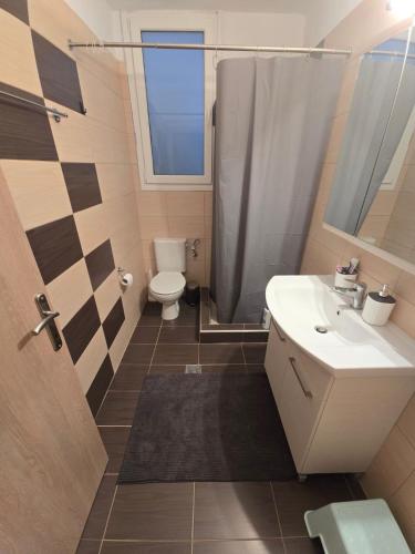 a bathroom with a toilet and a sink and a shower at Vlad's Apartments in Larisa