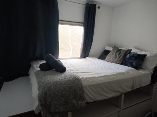 a bed in a room with a window at Studio à Tamaon - Malima Lodge in Pouembout