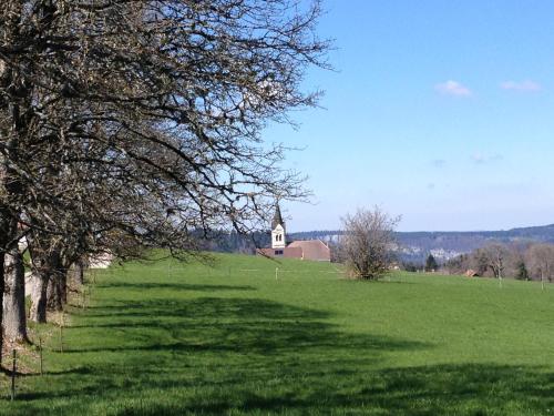 Příroda nedaleko penzionu – hostince