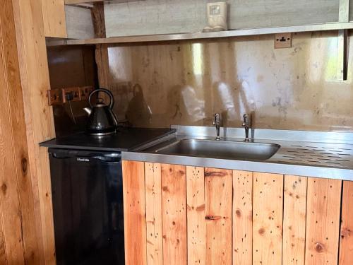 a kitchen with a sink and a tea kettle on it at Cwt Ieir in Ruthin