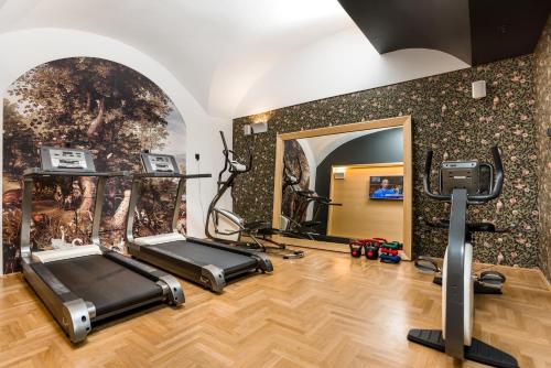 a gym with two treadmills and a wall covered in wallpaper at Hotel Moments Budapest by Continental Group in Budapest