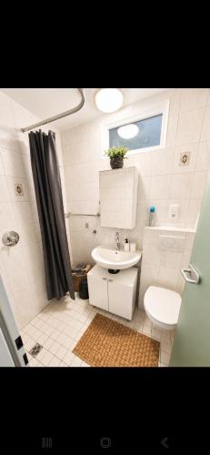 a bathroom with a toilet and a sink at Ulmer Nestchen in Ulm