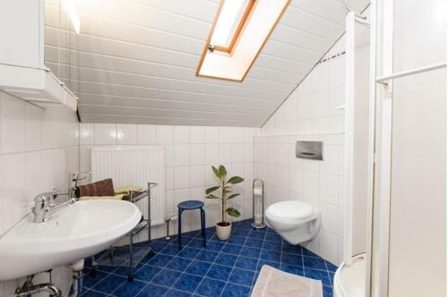 a bathroom with a sink and a toilet at Bauernhof Bauer in Zwiesel