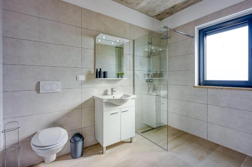 a bathroom with a toilet and a shower and a sink at Villa Nono in Motovun