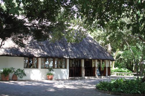 a building with a thatched roof and a tree at Island Safari Lodge in Maun
