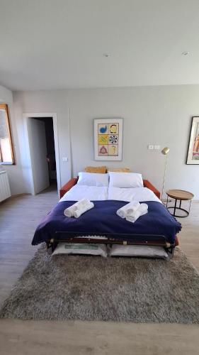 a bedroom with a large bed with a blue blanket at Risorgimento 8 appartamento centro Santa Maria Maggiore Valle Vigezzo in Santa Maria Maggiore
