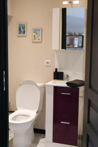 a bathroom with a white toilet and a sink at L'Eden maison avec jardin proche du Puy dufou in Les Landes-Génusson