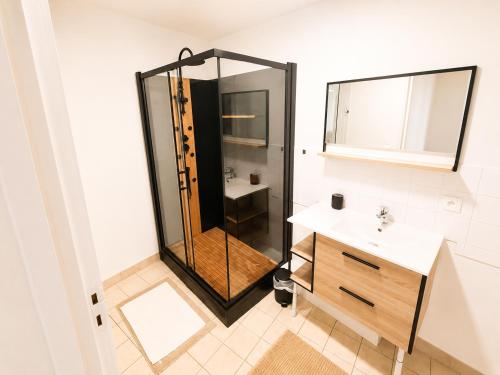 a bathroom with a shower and a sink at Studio des quais in Saint-Aignan