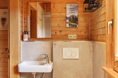 a bathroom with a sink and a toilet in a cabin at Ferienhaus Sonne in Hohnstein
