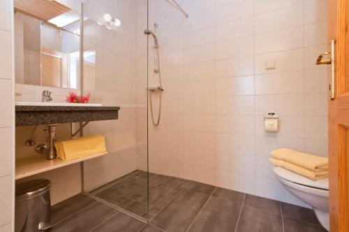 a bathroom with a shower and a toilet and a sink at Hof Wieser in Patergassen