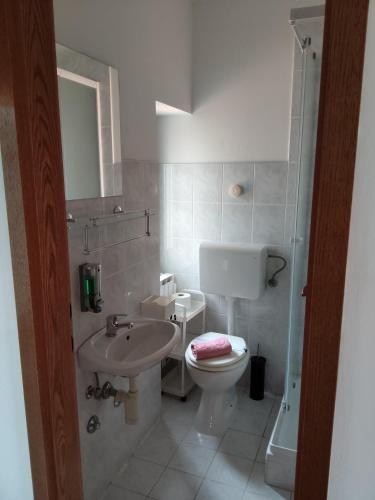 a bathroom with a white toilet and a sink at Rooms Svalina in Grožnjan