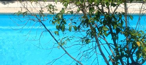 Sol de Poniente