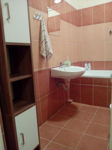 a bathroom with a sink and a bath tub at Fészek Apartman in Békéscsaba