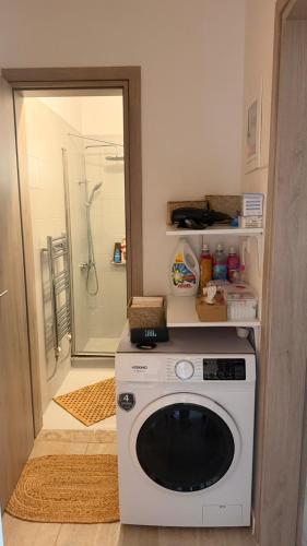 eine Waschmaschine in einem Badezimmer mit Dusche in der Unterkunft Labrini's House in Vélon