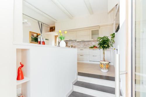 a kitchen with white cabinets and a potted plant at casa FraLu in Vico Equense
