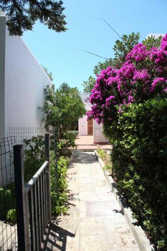 Gallery image of Salento Paradiso in Porto Badisco