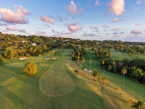 an overhead view of a golf course with palm trees at Mount Irvine Bay Resort in Grafton