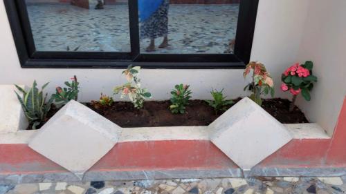 a planter with plants and flowers on a wall at Elite Solutions Apartments in Ouéga