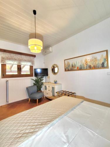 a bedroom with a large bed and a tv at Forest view evia in Prokópion