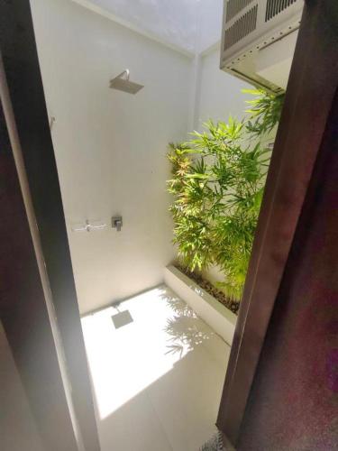 a room with plants on the wall and a window at Sabine's Place in Cangbaliguia