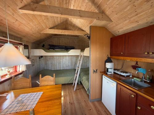 a kitchen with a bunk bed in a tiny house at Horns Skärgårdscamping in Nyköping