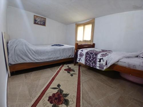 a bedroom with two beds and a rug at Stilios guesthouse in Grumas
