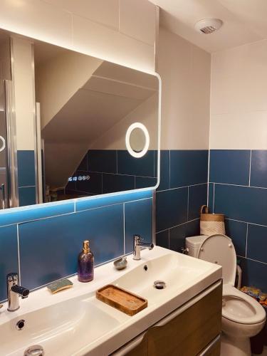 a bathroom with a sink and a mirror and a toilet at Cap d'Equih' in Équihen-Plage
