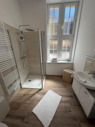 a bathroom with a shower and a toilet and a sink at Ferienwohnung Franka in Sonneberg