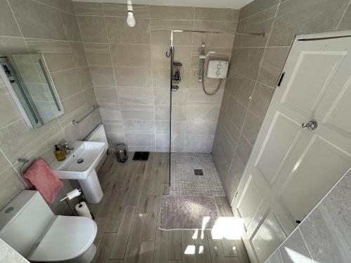 a bathroom with a shower and a toilet and a sink at Chambers Cottage in Drumellihy