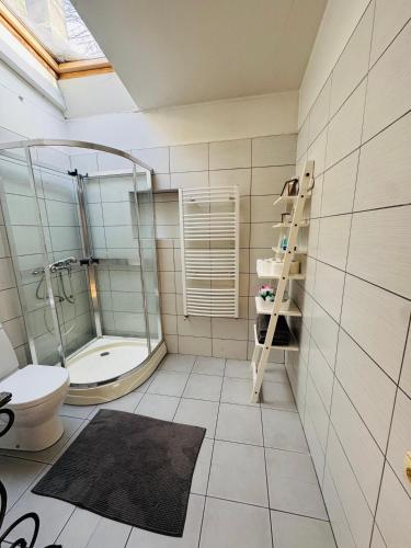 a bathroom with a shower and a toilet and a sink at The lake house in Mockava