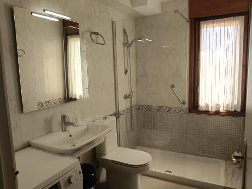 a bathroom with a toilet and a sink and a shower at Casa Rural Casa Juli in Arguedas