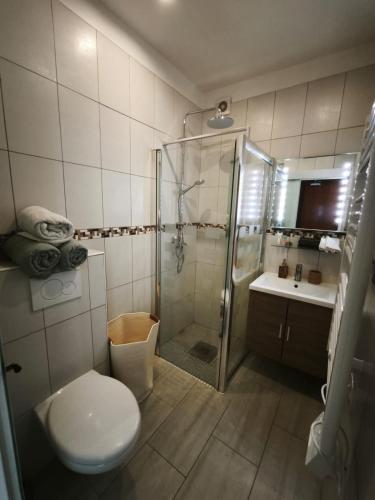 a bathroom with a shower and a toilet and a sink at Studio entre Mer et Lagune in Saint-Aygulf