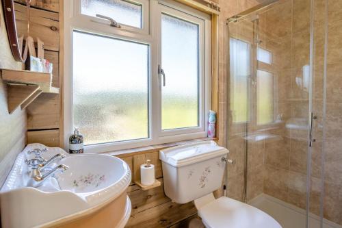 a bathroom with a toilet and a sink and a shower at 1 Bed in Llandovery oc-88603 in Cynghordy