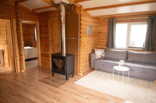 a living room with a couch and a stove at Ferienhaus Wasserläufer Bellin in Ueckermünde