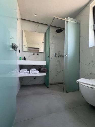 a bathroom with a shower and a sink and a toilet at Villa Eden in Kallithea Halkidikis