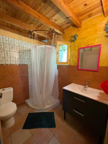 a bathroom with a toilet and a sink at DOMAINE St GEORGES in Mosset