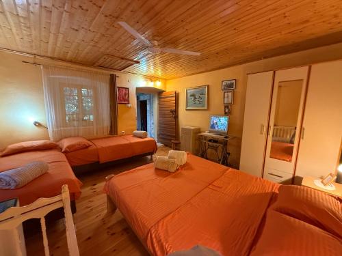 a bedroom with two beds and a television in it at Ethno House Ivanovic in Virpazar