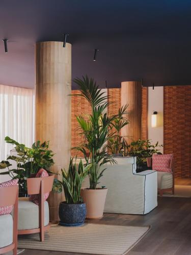 a lobby with potted plants and chairs in a room at Hotel Mediterráneo in Roses