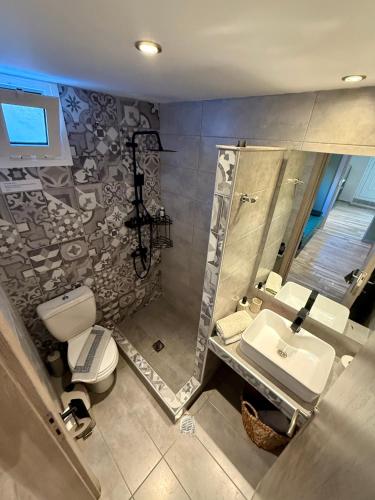 a bathroom with a toilet and a sink and a shower at ΑVLI Sarti Studios & Apartments no1 in Sarti
