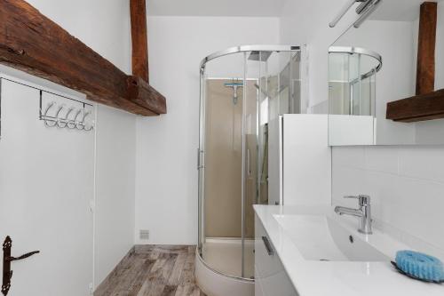 a bathroom with a shower and a sink at La Fromagerie in Mondion