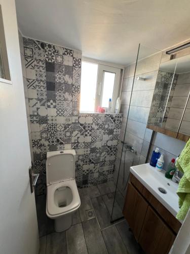 ein Badezimmer mit Toilette, Dusche und Waschbecken in der Unterkunft Light Apartment in Ierápetra
