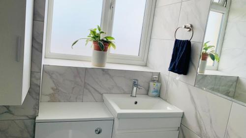a bathroom with a sink and a window and a plant at A cosy & peaceful homestay in Sutton