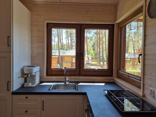a kitchen with a sink and two windows in a cabin at Pine House Domek 22 in Borsk