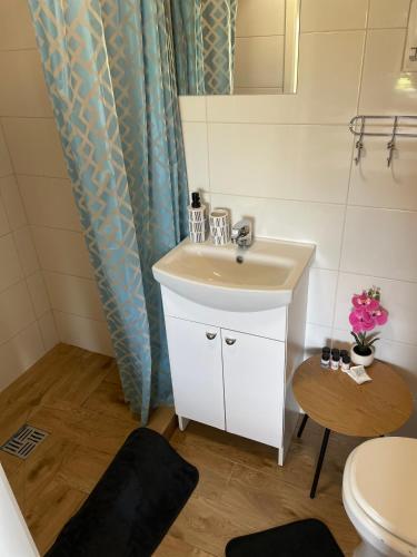 a bathroom with a sink and a toilet at Nameliai TRES in Bernotiškė