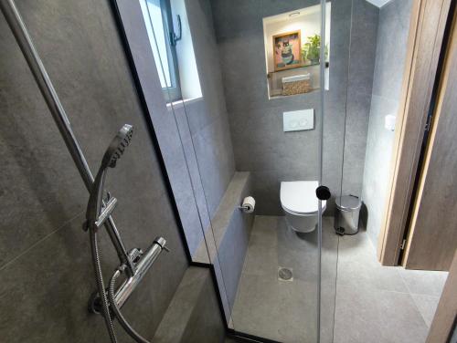 my suite home