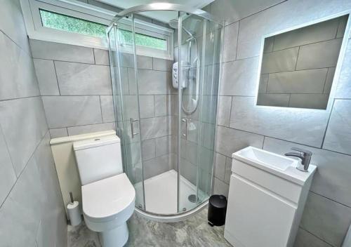 a bathroom with a shower and a toilet and a sink at Elmrise View in Llanstephan