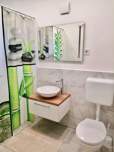 a bathroom with a sink and a toilet and a mirror at Borika Vip Apartments in Mezőkövesd