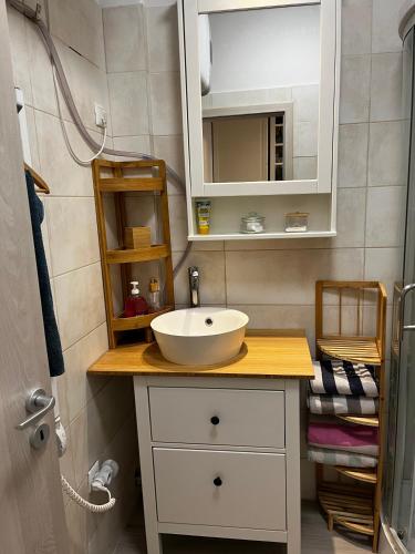 a bathroom with a white sink and a mirror at Fenyves Bay Apartman in Balatonfenyves