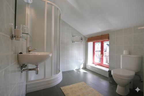 a bathroom with a toilet and a sink and a window at Raibie Logi in Ventspils