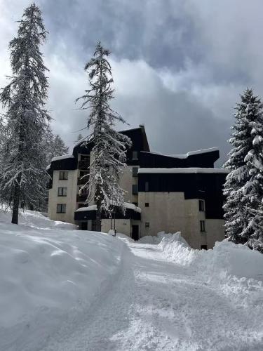 Studio 4 personnes 31m2 Les Orres 1650-Hautes Alpes 05